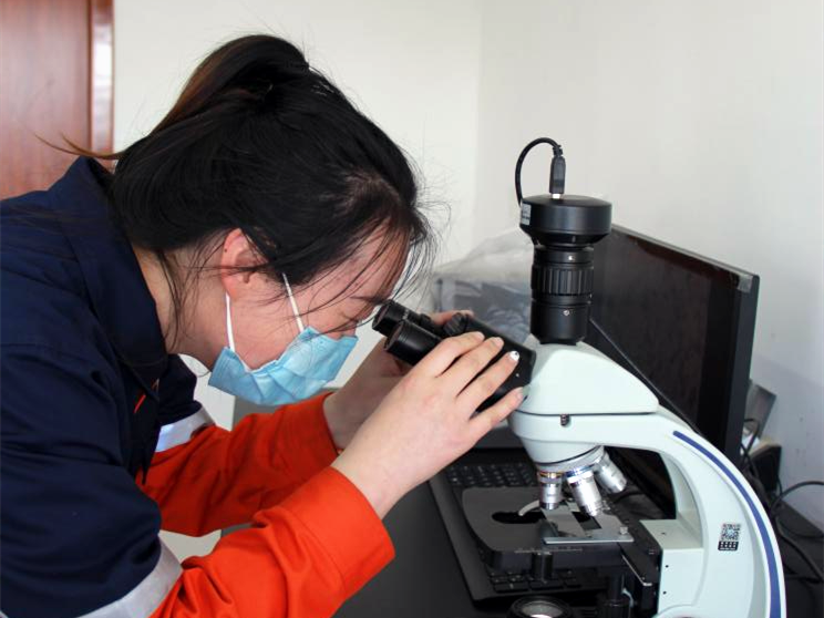 yd2333云顶电子游戏(中国)有限公司