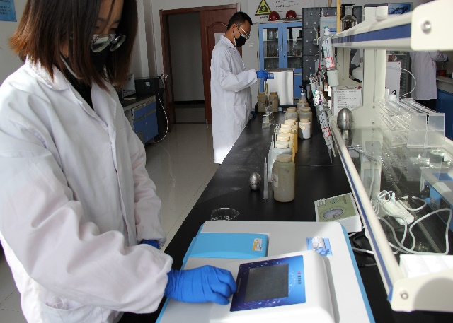 yd2333云顶电子游戏(中国)有限公司