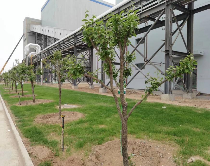 yd2333云顶电子游戏(中国)有限公司