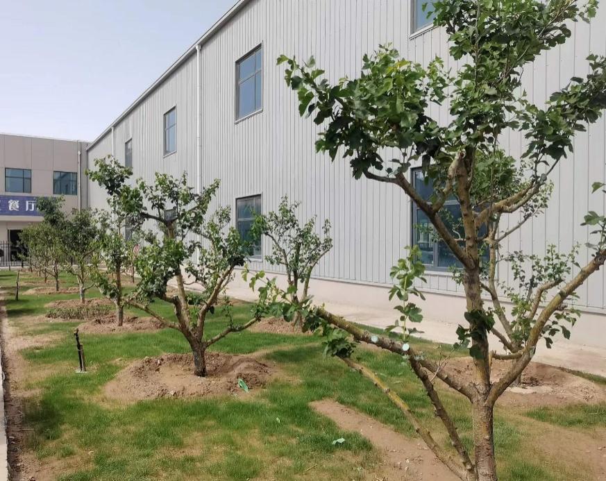 yd2333云顶电子游戏(中国)有限公司