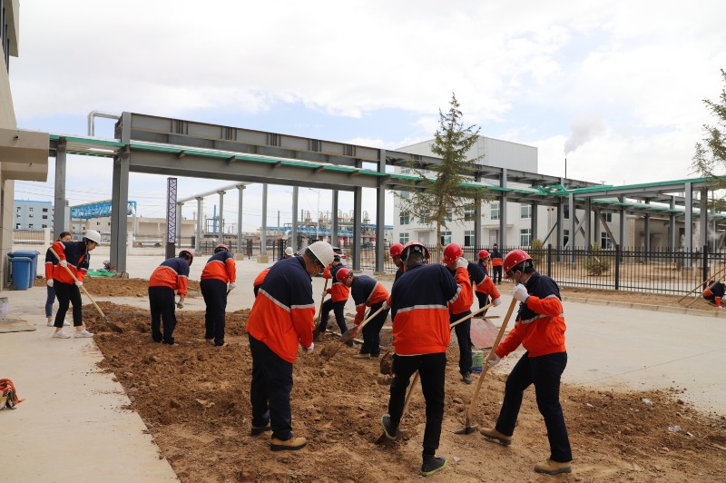 yd2333云顶电子游戏(中国)有限公司