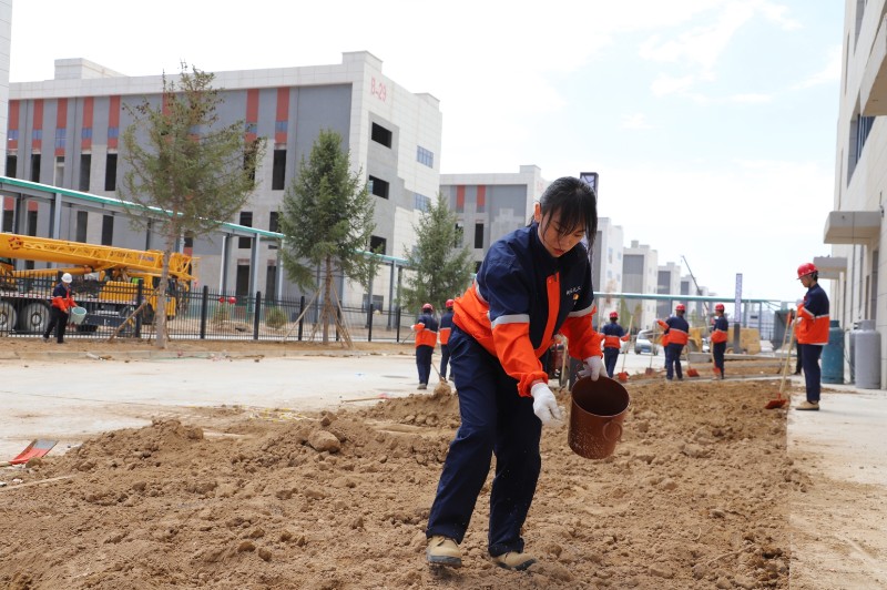 yd2333云顶电子游戏(中国)有限公司