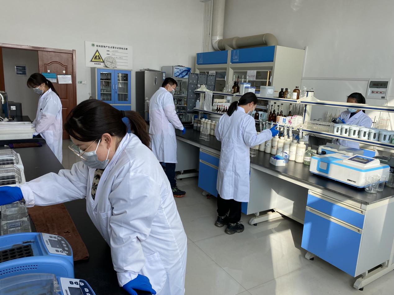 yd2333云顶电子游戏(中国)有限公司