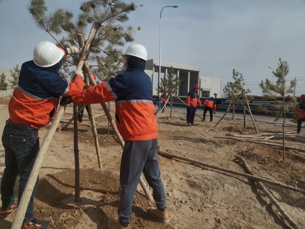 yd2333云顶电子游戏(中国)有限公司